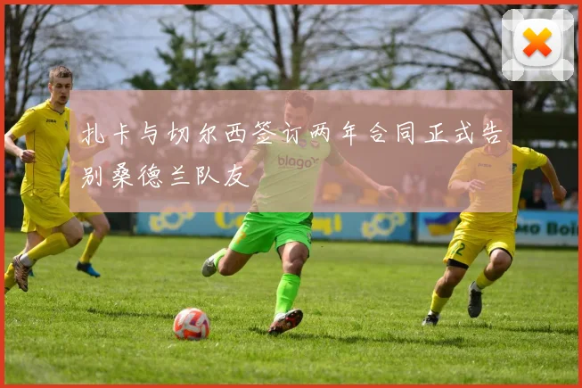 扎卡与切尔西签订两年合同正式告别桑德兰队友