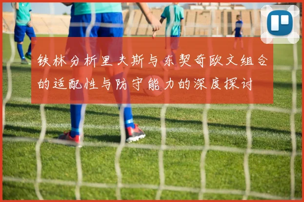 铁林分析里夫斯与东契奇欧文组合的适配性与防守能力的深度探讨