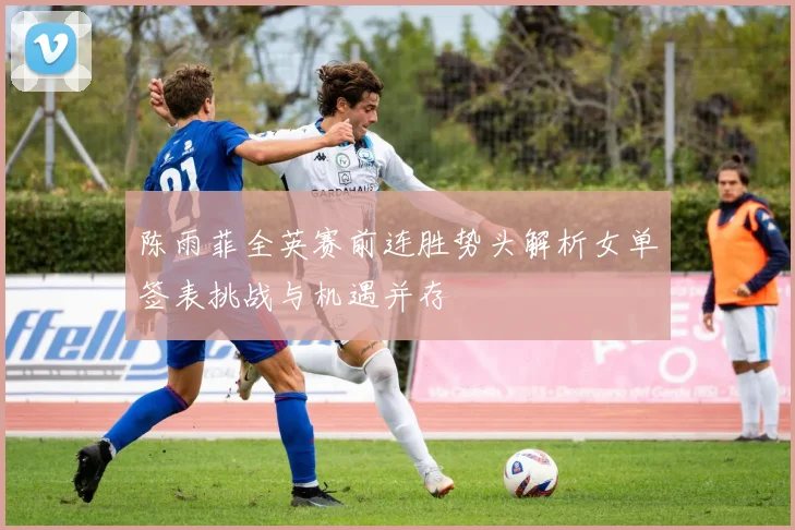 陈雨菲全英赛前连胜势头解析女单签表挑战与机遇并存