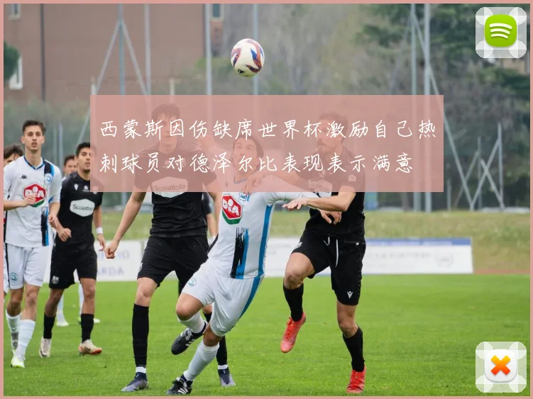 西蒙斯因伤缺席世界杯激励自己热刺球员对德泽尔比表现表示满意